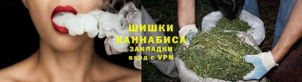 PSILOCYBIN Балахна