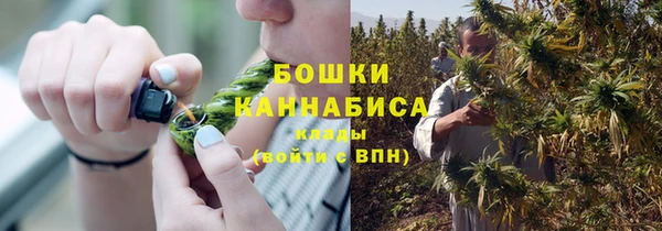 PSILOCYBIN Балахна